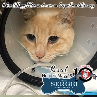 Rascal – Helped May 2019