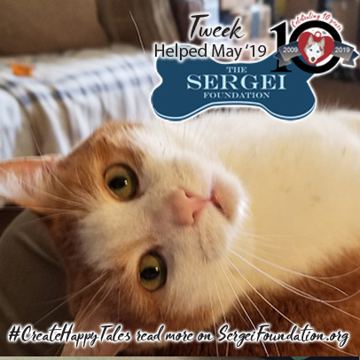 Tweek – Helped May 2019