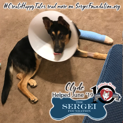 Clyde – Helped June 2019