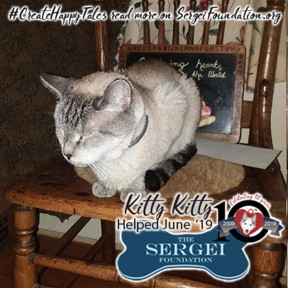 Kitty Kitty – Helped June 2019