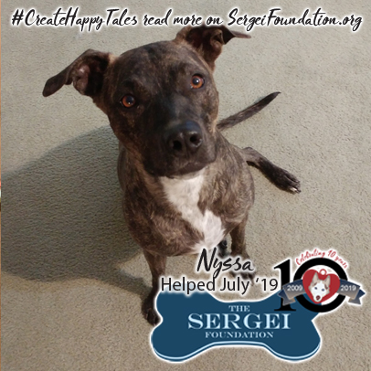 Nyssa – Helped July 2019