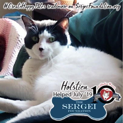 Holstien – Helped July 2019