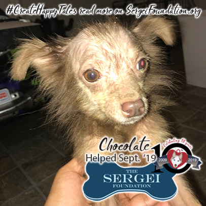 Chocolate – Helped Sept. 2019