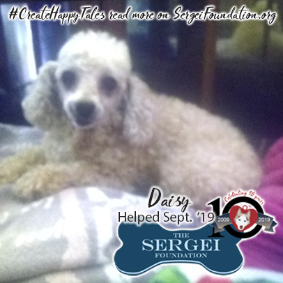 Daisy – Helped Sept. 2019