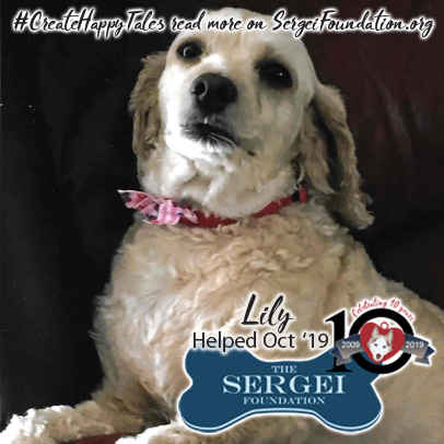 Lily – Helped Oct. 2019