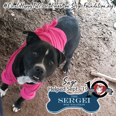 Sage – Helped Sept. 2019