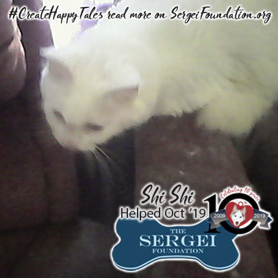 Shi Shi – Helped Oct. 2019