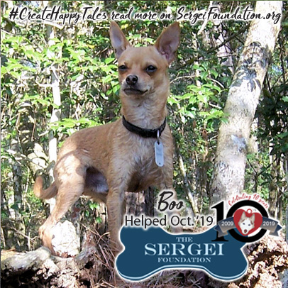 Boo – Helped Oct. 2019