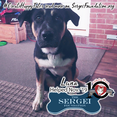 Luna – Helped Nov. 2019