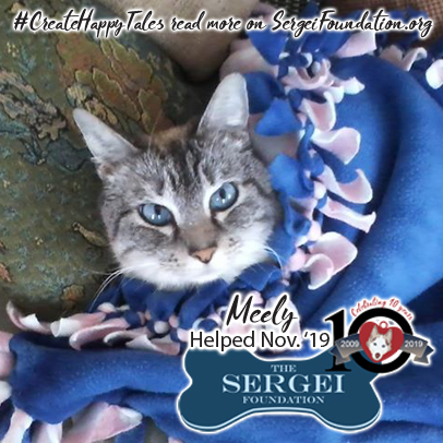 Meely – Helped Nov. 2019