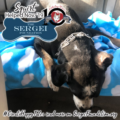 Squirt – Helped Nov. 2019