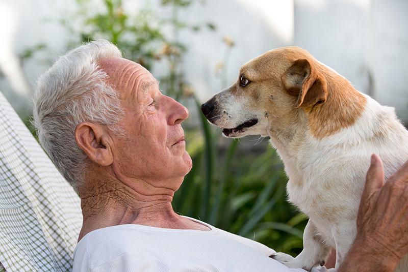 shutterstock_654915814_72 dpi